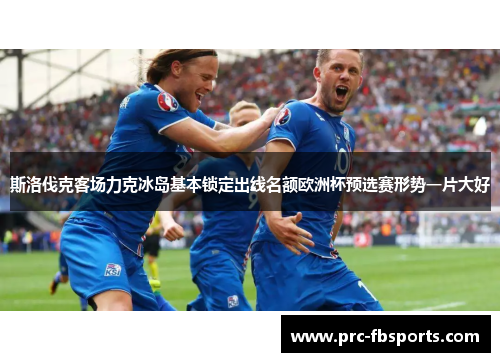 斯洛伐克客场力克冰岛基本锁定出线名额欧洲杯预选赛形势一片大好 斯洛伐克客场力克冰岛基本锁定出线名额欧洲杯预选赛形势一片大好
